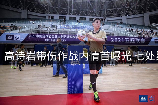 高诗岩带伤作战内情首曝光 七处累积伤情揭示运动员的坚守与误解